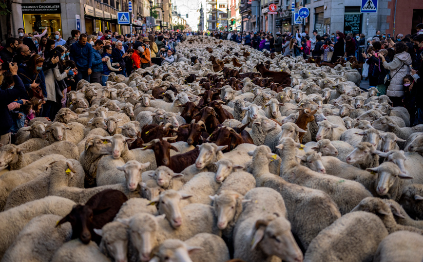 Οι φωτογραφίες της εβδομάδας Οι φωτογραφίες της εβδομάδας