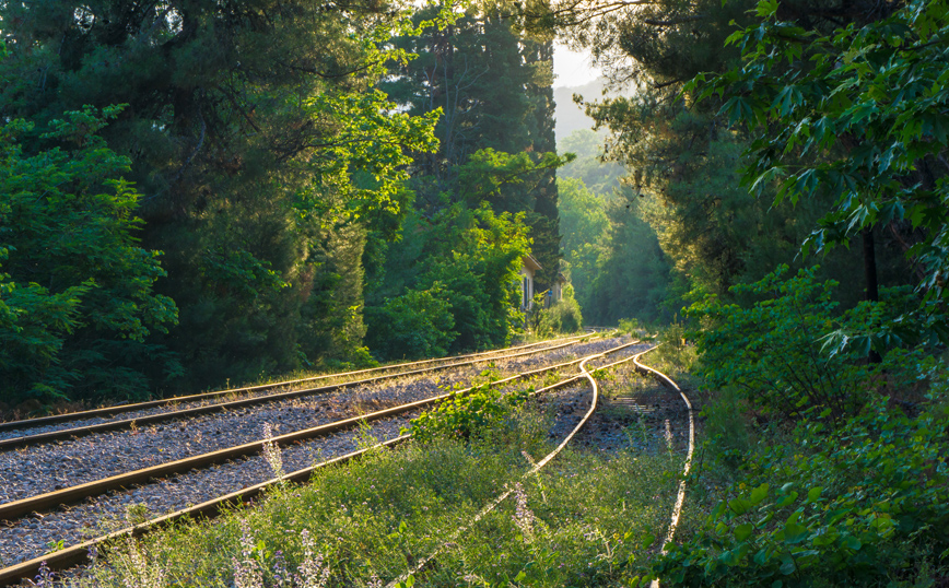 Το εντυπωσιακό φαράγγι του Ασωπού στην Οίτη Το εντυπωσιακό φαράγγι του Ασωπού στην Οίτη