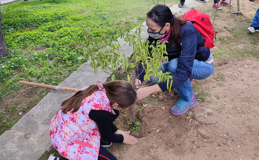 Η Teleperformance Greece συμμετέχει σε μία ακόμα δράση δενδροφύτευσης στον Άλιμο σε συνεργασία με τη We4all