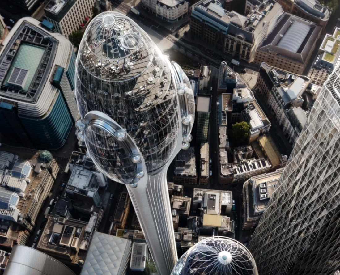 Τουλίπα Τουλίπα