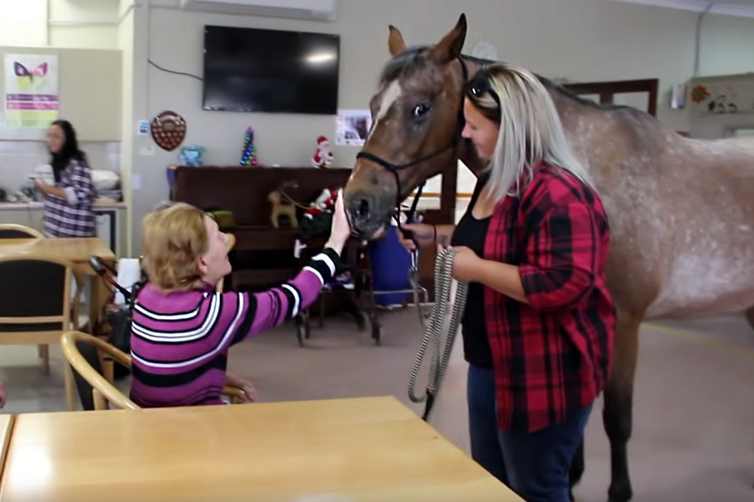 «Ζωοφιλικοί» οίκοι ευγηρίας «Ζωοφιλικοί» οίκοι ευγηρίας