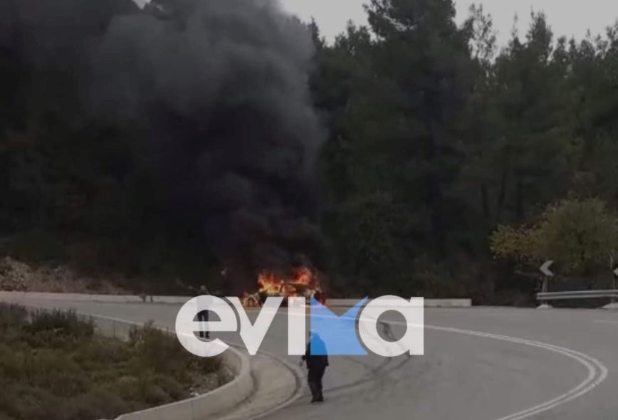 Εύβοια: Φωτιά σε αυτοκίνητο &#8211; Επεκτάθηκε και στο δάσος