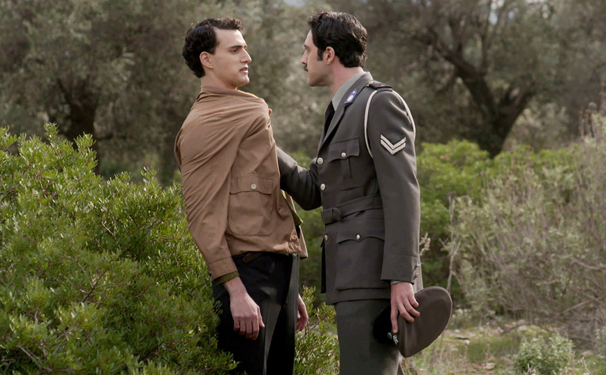 Άγριες Μέλισσες Άγριες Μέλισσες