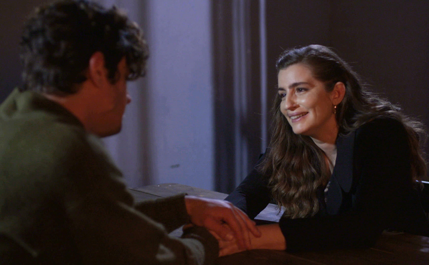 Άγριες Μέλισσες Άγριες Μέλισσες