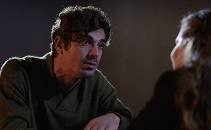 Άγριες Μέλισσες Άγριες Μέλισσες