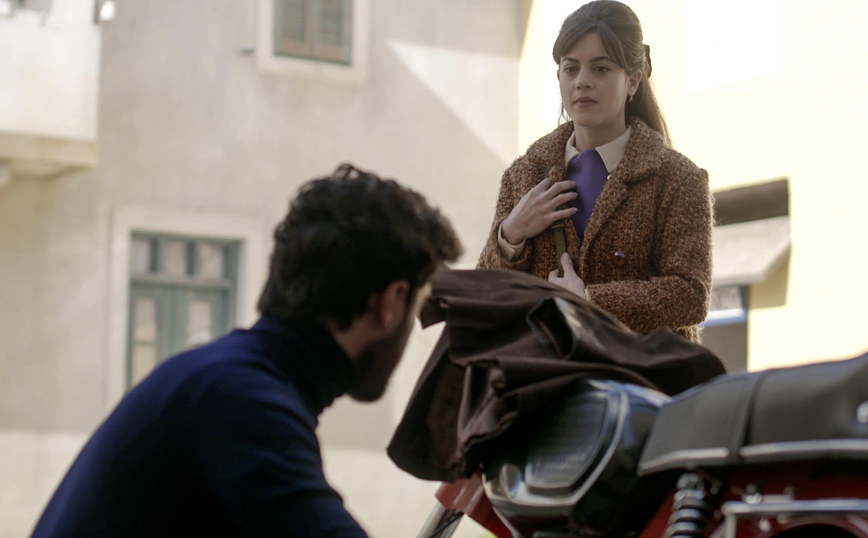 Άγριες Μέλισσες Άγριες Μέλισσες