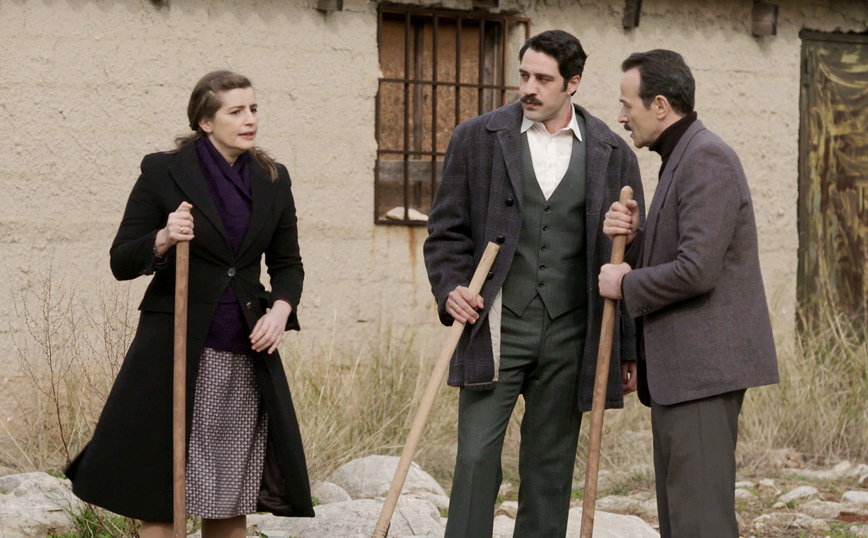 Άγριες Μέλισσες