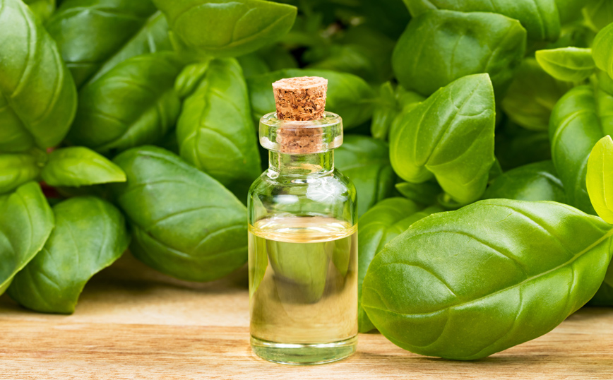 Έλαιο βασιλικού κατά του στρες Έλαιο βασιλικού κατά του στρες