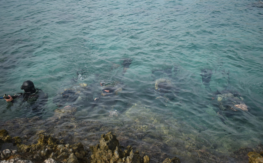 Ημέρα Διακεκριμένων Επισκεπτών (DV-DAY) στο Πλαίσιο της Κοινής Συνδυασμένης Εκπαίδευσης Μονάδων Ειδικών Επιχειρήσεων Ελλάδας – ΗΠΑ Joint Combined Exchange Training – JCET Ημέρα Διακεκριμένων Επισκεπτών (DV-DAY) στο Πλαίσιο της Κοινής Συνδυασμένης Εκπαίδευσης Μονάδων Ειδικών Επιχειρήσεων Ελλάδας – ΗΠΑ Joint Combined Exchange Training – JCET