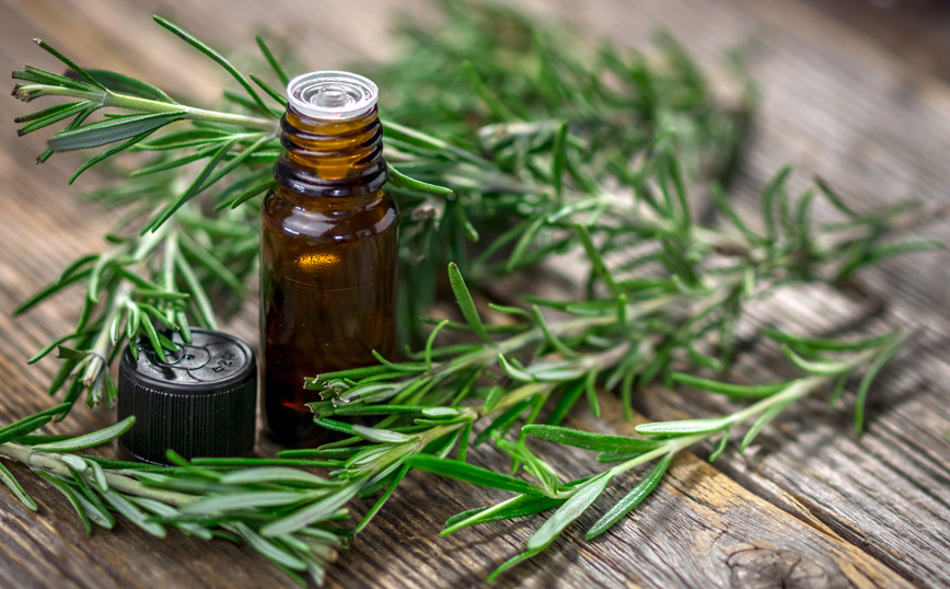 Έλαιο δενδρολίβανου Έλαιο δενδρολίβανου