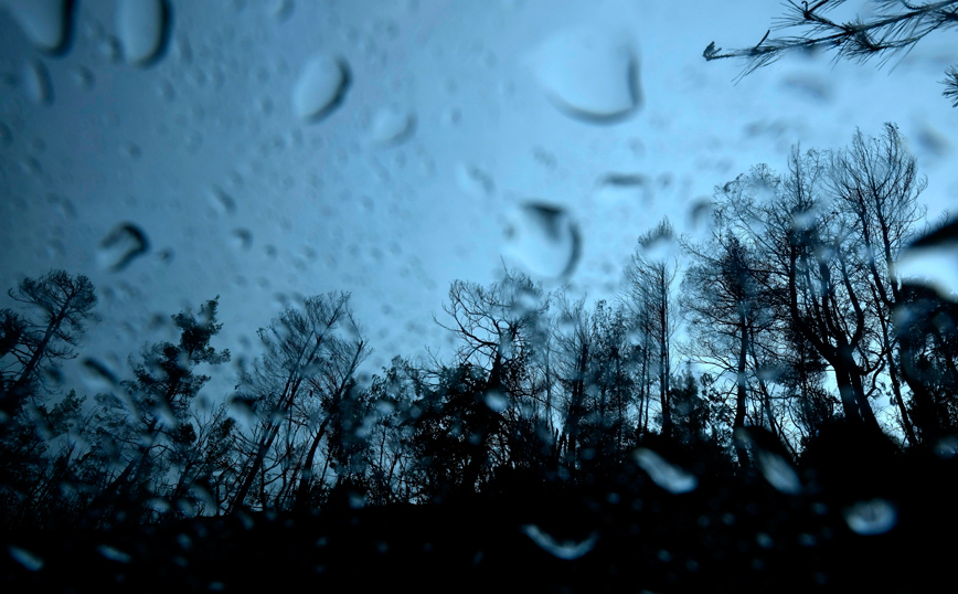 Καιρός – Αρναούτογλου: Πότε αλλάζει το ανοιξιάτικο σκηνικό &#8211; Πού αναμένονται βροχές