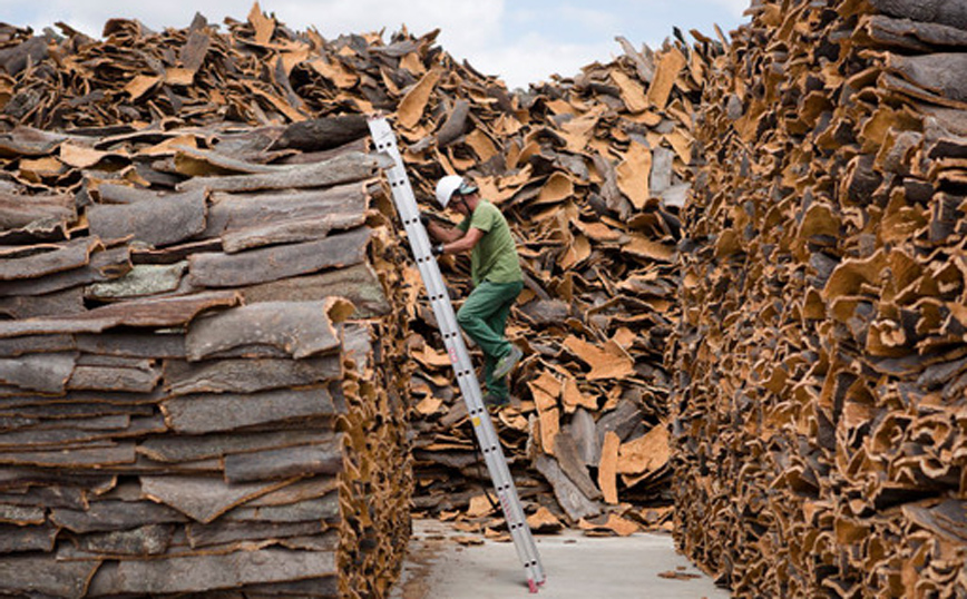 O φελλός εισβάλλει στην αυτοκινητοβιομηχανία O φελλός εισβάλλει στην αυτοκινητοβιομηχανία
