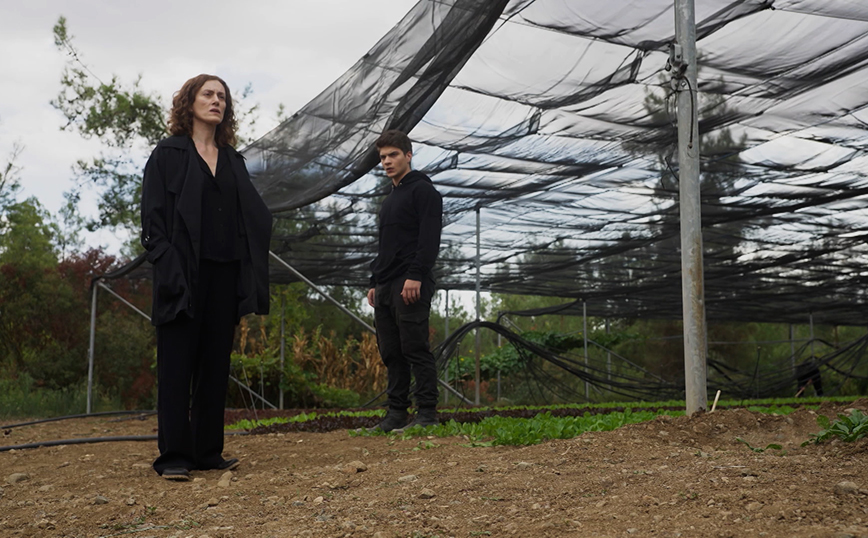 η γη της ελιάς επόμενα επεισόδια η γη της ελιάς επόμενα επεισόδια