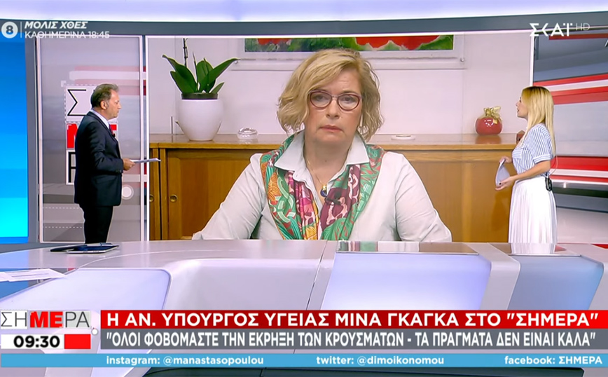 Κορονοϊός – Μίνα Γκάγκα: Όλοι φοβόμαστε έκρηξη κρουσμάτων – Δεν είναι καλά τα πράγματα