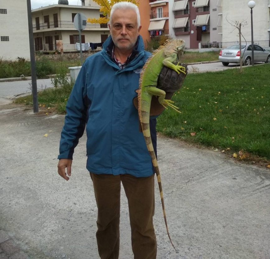 Λάρισα: Εγκαταλελειμμένο ιγκουάνα βρέθηκε δίπλα σε κάδο απορριμμάτων Λάρισα: Εγκαταλελειμμένο ιγκουάνα βρέθηκε δίπλα σε κάδο απορριμμάτων