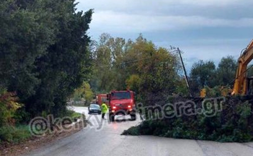 Κέρκυρα: Έπεσε δέντρο στις Σινιές