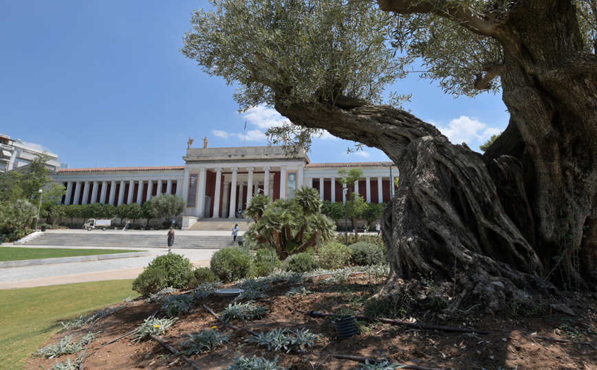 Στο Παίδων το μωρό που εγκαταλείφθηκε έξω από το Αρχαιολογικό Μουσείο &#8211; Σε αλλοδαπό στρέφονται οι έρευνες