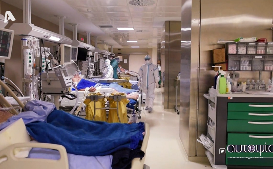 Αυτοψία Alpha