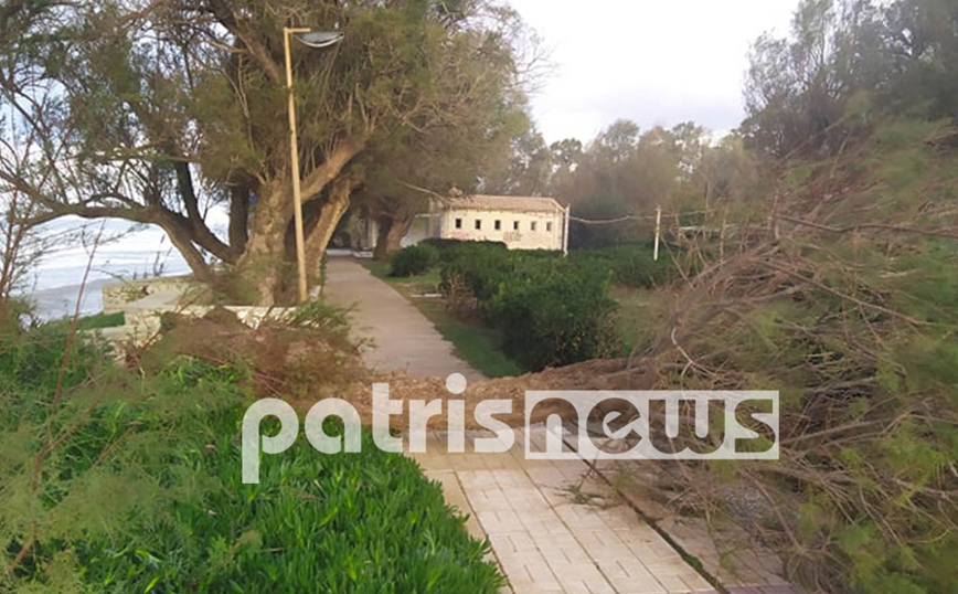 Άνεμοι σε Παλούκι και Κουρούτα Άνεμοι σε Παλούκι και Κουρούτα