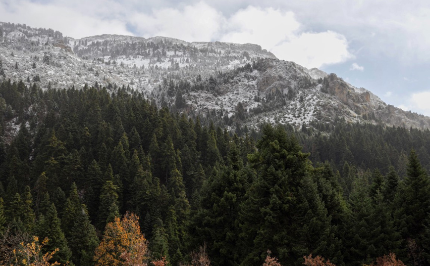 Πρώτα χιόνια στο Περτούλι Πρώτα χιόνια στο Περτούλι