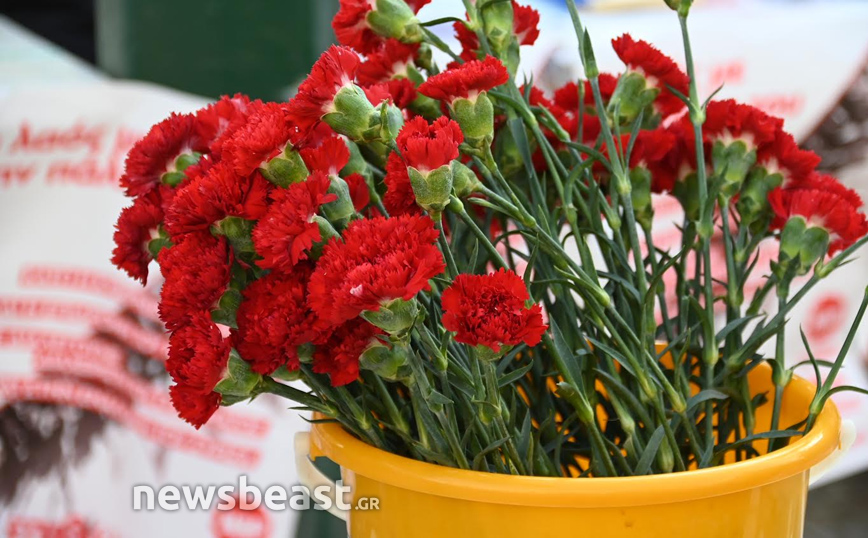 Γαρύφαλλα στο Πολυτεχνείο