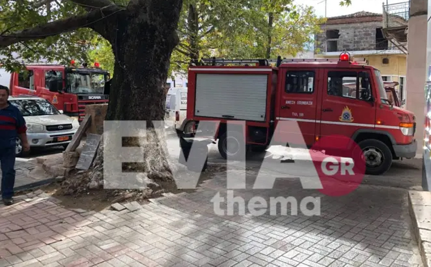 Εύβοια: Νεκρή από αναθυμιάσεις 90χρονη στα Πολιτικά