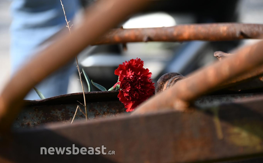 Γαρύφαλλο στο Πολυτεχνείο