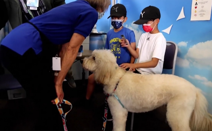 Ο σκύλος που βοηθάει τα παιδιά να εμβολιαστούν ευκολότερα