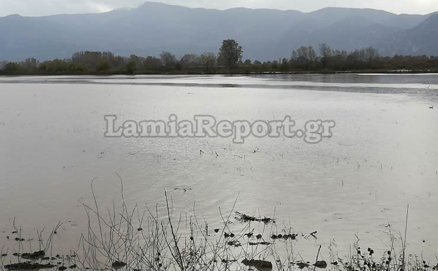 Πλημμύρισε ο Σπερχειός Πλημμύρισε ο Σπερχειός