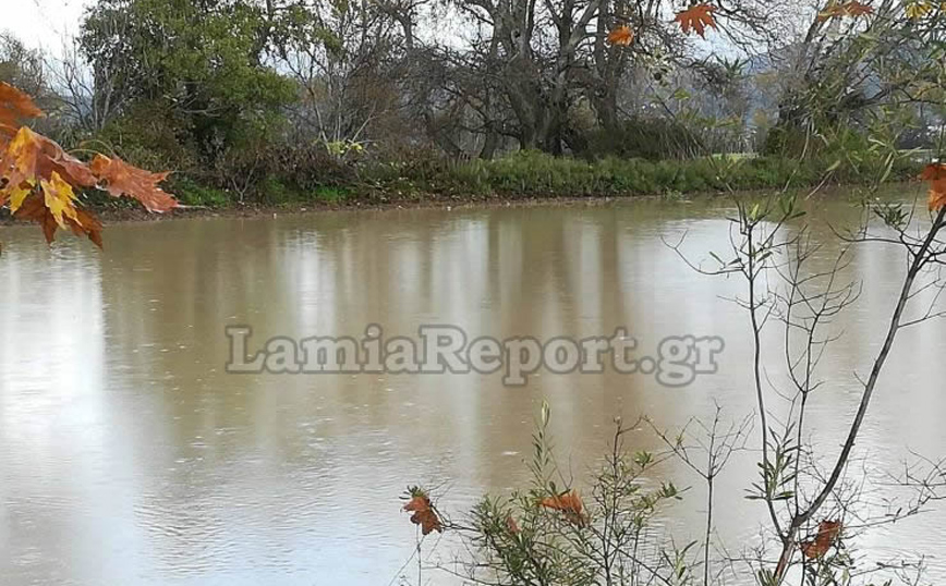 Πλημμύρισε ο Σπερχειός Πλημμύρισε ο Σπερχειός