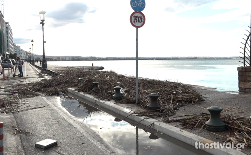 Ο Θερμαϊκός ξέβρασε καλάμια και σκουπίδια