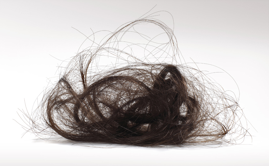 Τούφα μαλλιών Τούφα μαλλιών