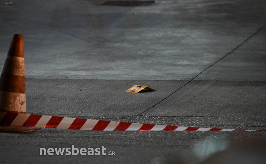 Κάλυκας σφαίρας Κάλυκας σφαίρας