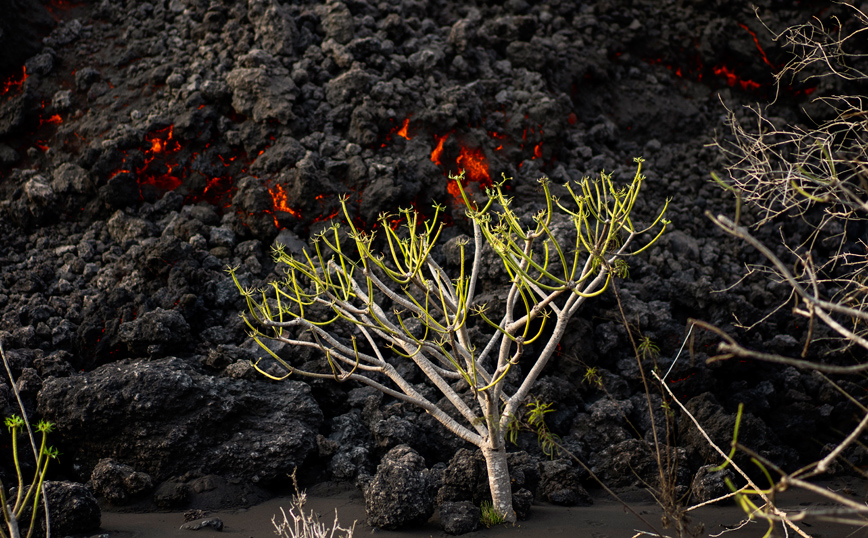 Οι φωτογραφίες της εβδομάδας