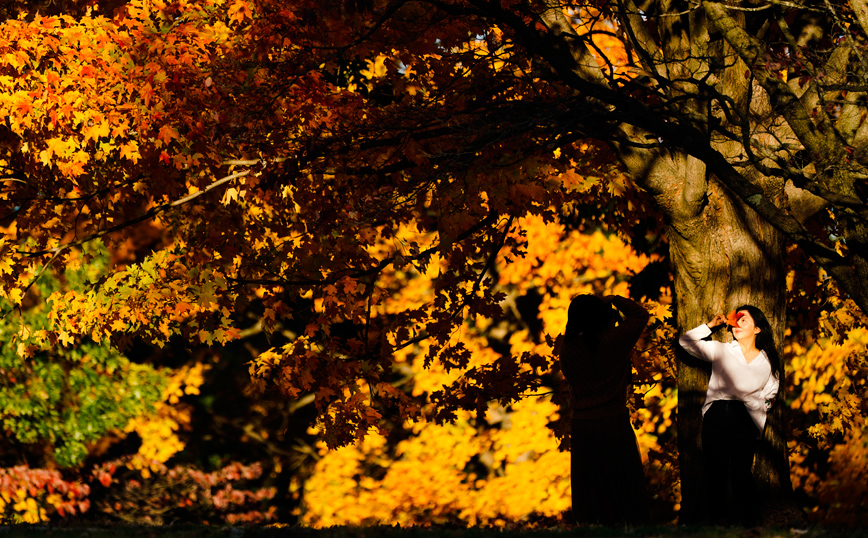 Οι φωτογραφίες της εβδομάδας