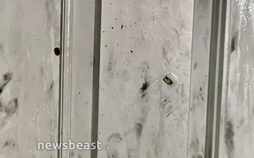 Γυναίκα πυροβόλησε άνδρα στο Χαλάνδρι