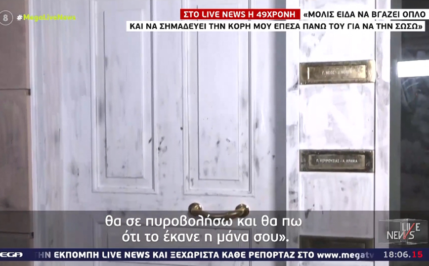 Χαλάνδρι: Η εκδοχή της 49χρονης εικαστικού για τους πυροβολισμούς – Γιατί το έκανε