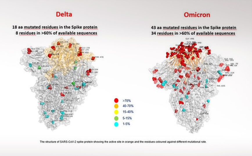 Παραλλαγή Όμικρον: Η πρώτη «εικόνα» που δείχνει τις μεταλλάξεις της σε σχέση με τη Δέλτα