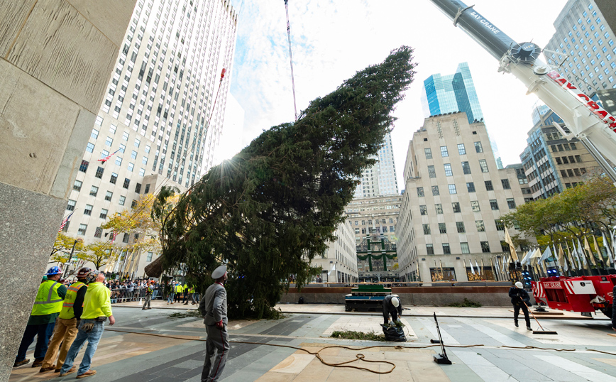 Νέα Υόρκη: Έφτασε το ύψους 24 μέτρων χριστουγεννιάτικο δέντρο της μεγαλούπολης