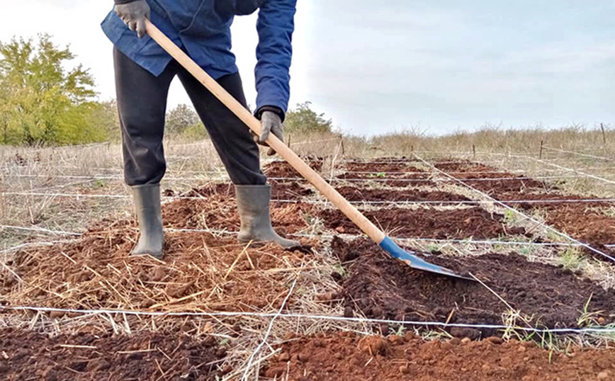Έβαλαν το στάρι στον καφέ ως καλαμάκι και τώρα βάζουν τον καφέ στο χωράφι με το στάρι ως λίπασμα Έβαλαν το στάρι στον καφέ ως καλαμάκι και τώρα βάζουν τον καφέ στο χωράφι με το στάρι ως λίπασμα