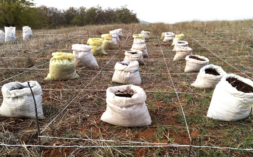 Έβαλαν το στάρι στον καφέ ως καλαμάκι και τώρα βάζουν τον καφέ στο χωράφι με το στάρι ως λίπασμα Έβαλαν το στάρι στον καφέ ως καλαμάκι και τώρα βάζουν τον καφέ στο χωράφι με το στάρι ως λίπασμα