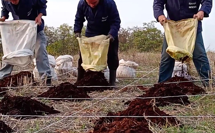 Έβαλαν το στάρι στον καφέ ως καλαμάκι και τώρα βάζουν τον καφέ στο χωράφι με το στάρι ως λίπασμα Έβαλαν το στάρι στον καφέ ως καλαμάκι και τώρα βάζουν τον καφέ στο χωράφι με το στάρι ως λίπασμα