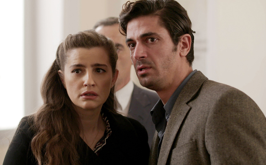 Άγριες Μέλισσες