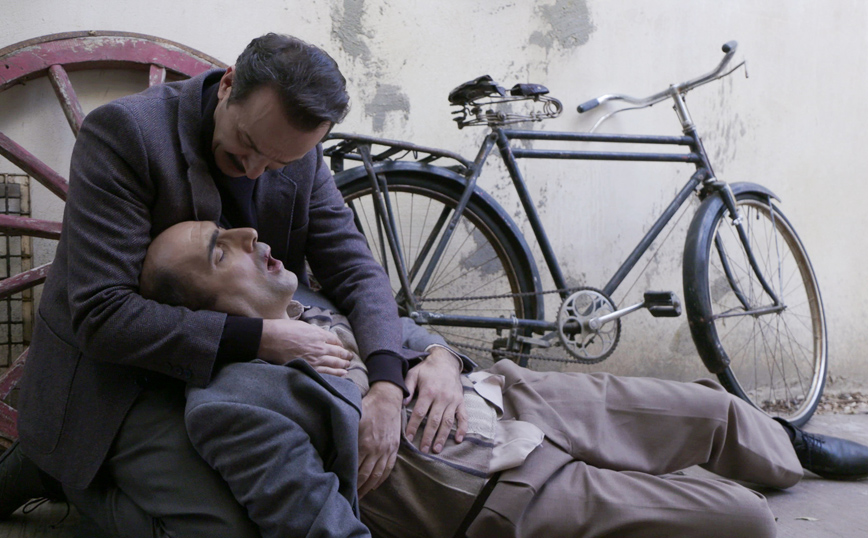 Άγριες Μέλισσες