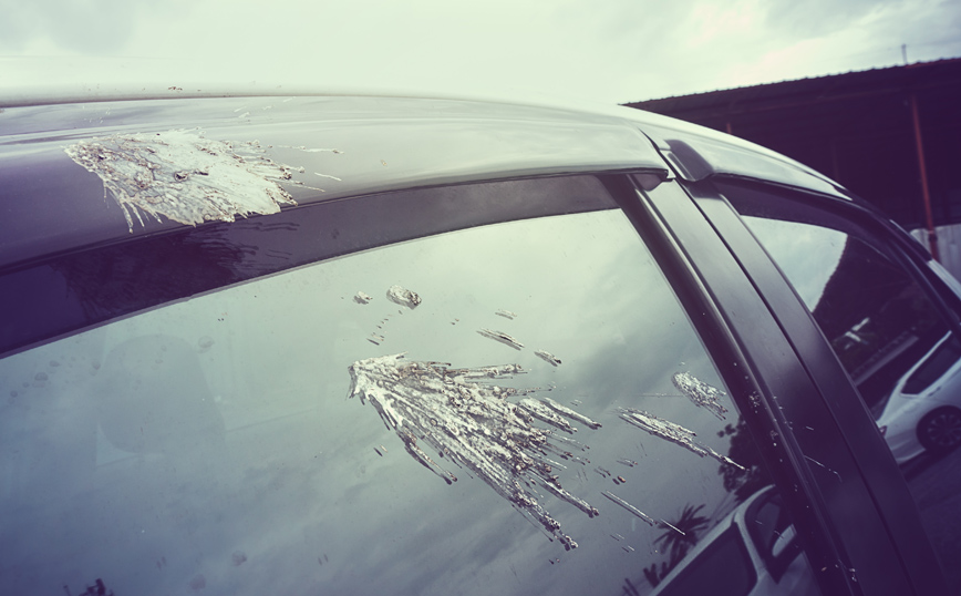 Kουτσουλιές πουλιών σε αμάξι