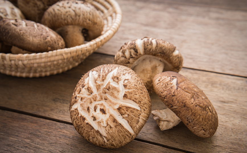 Μανιτάρια σιτάκε Μανιτάρια σιτάκε