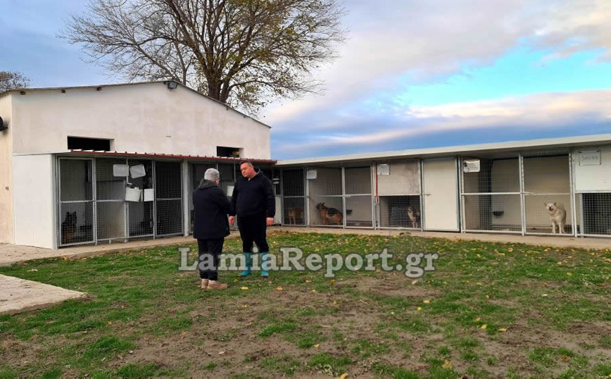 Λαμία: Κινδύνεψε να πνιγεί στις πλημμύρες για να σώσει τα σκυλάκια