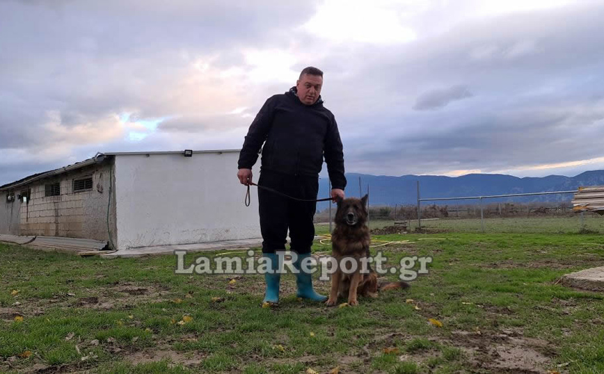 Λαμία: Κινδύνεψε να πνιγεί στις πλημμύρες για να σώσει τα σκυλάκια