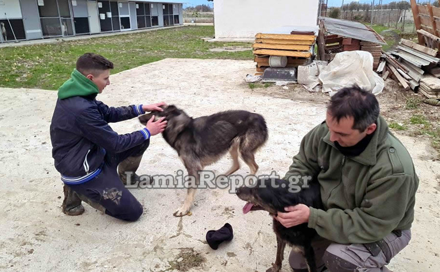 Λαμία: Κινδύνεψε να πνιγεί στις πλημμύρες για να σώσει τα σκυλάκια