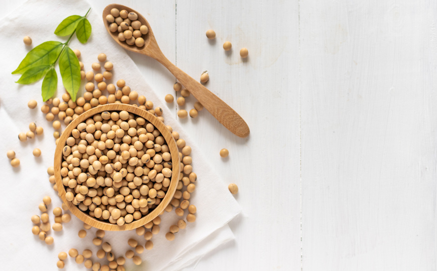 Σόγια Σόγια